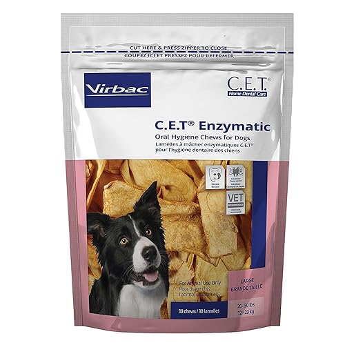 Best Dog Towels & Drying Gear 2026
